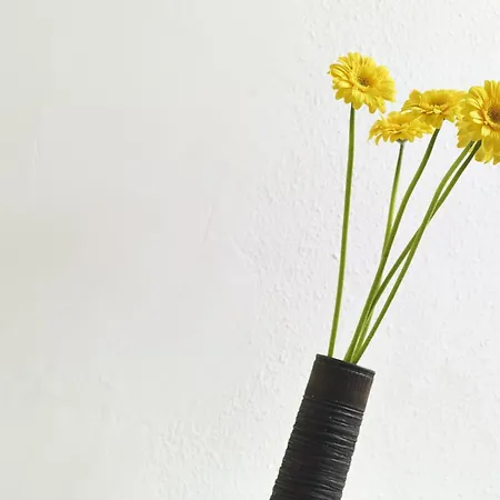 Rue Lemoine Xxl Apartamento