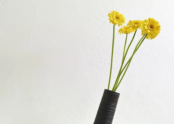 Rue Lemoine Xxl Apartment