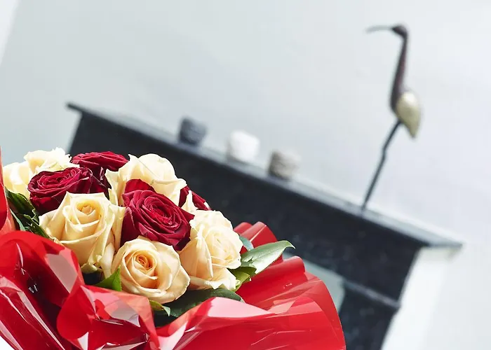 Rue Lemoine Xxl 앙제